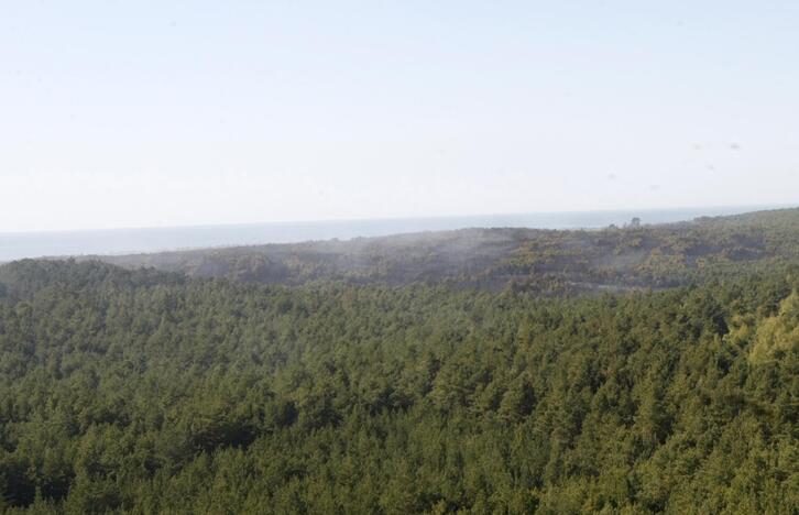 Kuršių nerijos gaisrą sutramdė gausios ugniagesių ir kariškių pajėgos