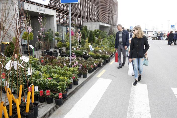 Klaipėdiečiai domisi statybos sektoriaus naujovėmis