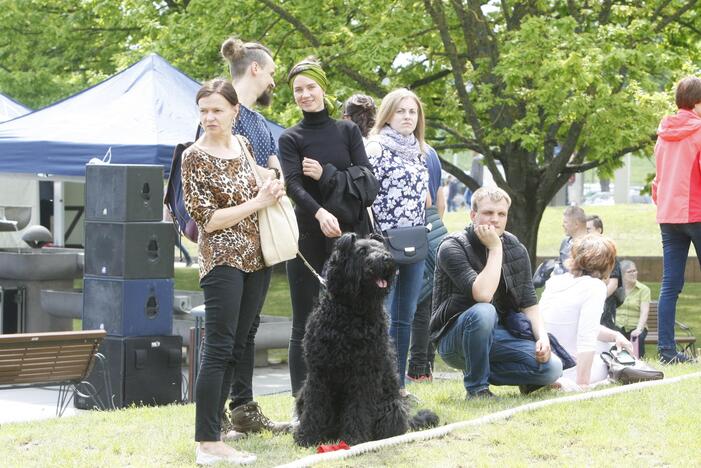 Laivų parade - pramogų vajus