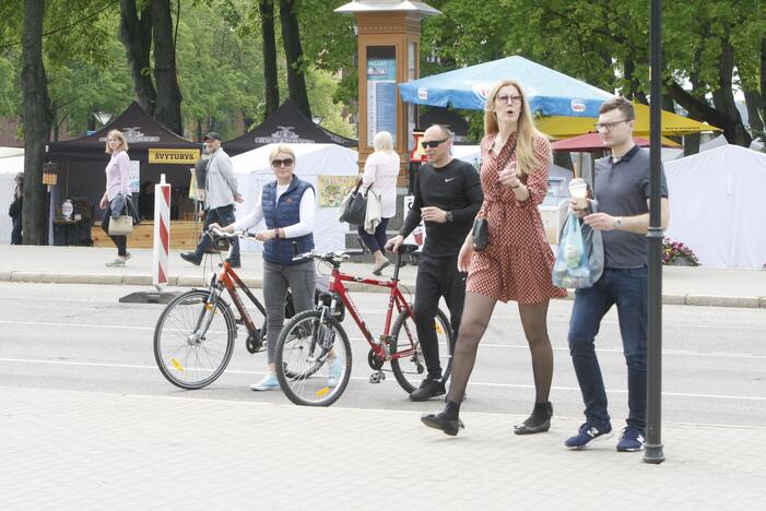 Laivų parade - pramogų vajus