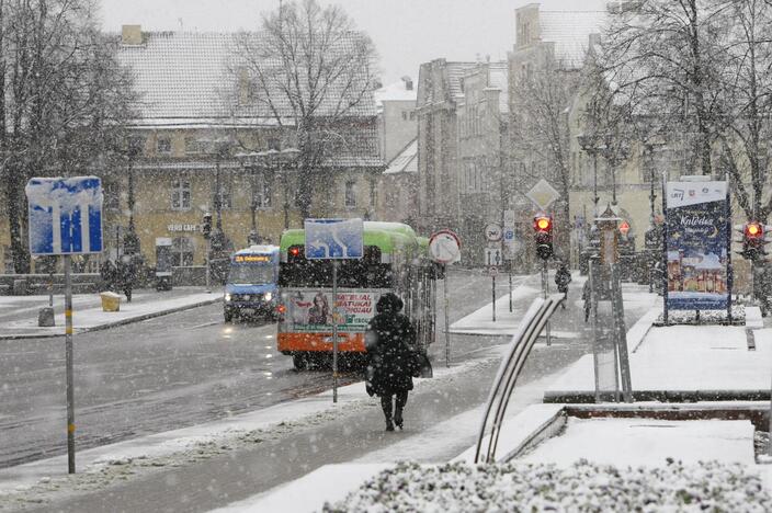 Pirmasis sniegas Klaipėdoje