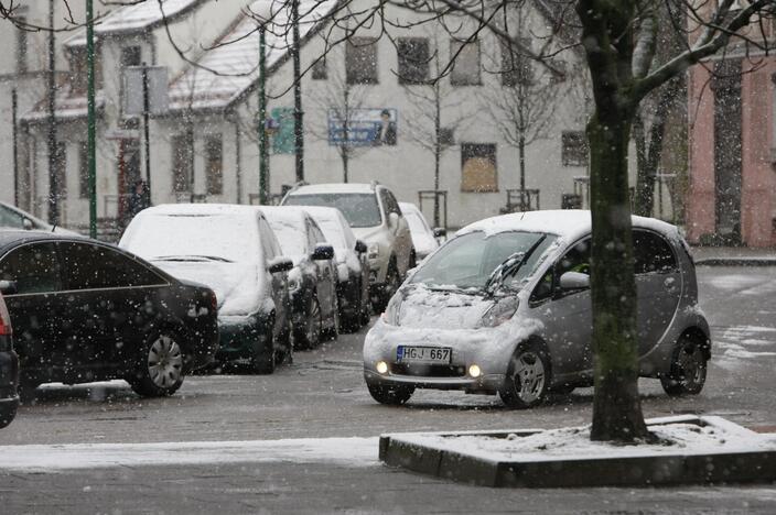 Pirmasis sniegas Klaipėdoje