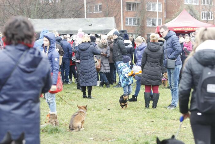 Keturkojų Kalėdos Klaipėdoje