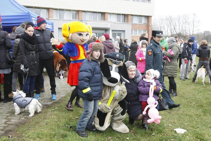 Keturkojų Kalėdos Klaipėdoje