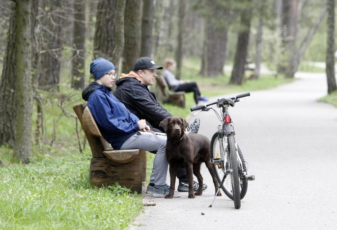 Šuniukų bėgimas Klaipėdoje