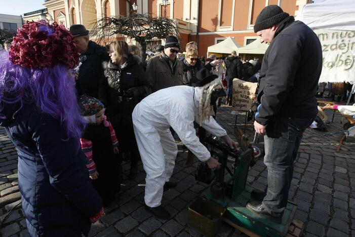 Užgavėnės 2016 Klaipėdoje