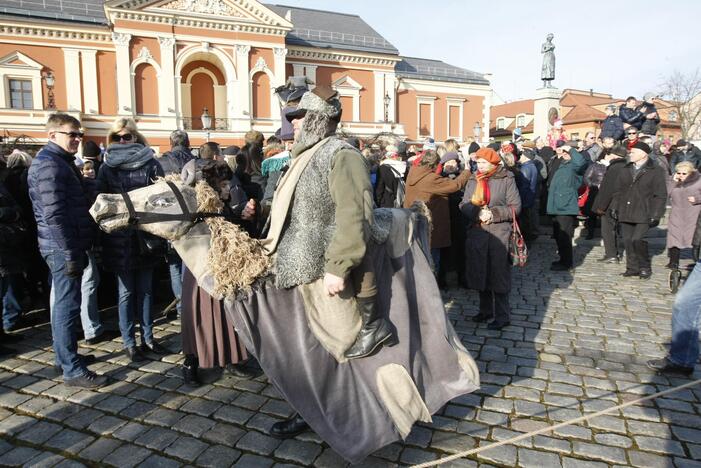 Užgavėnės 2016 Klaipėdoje