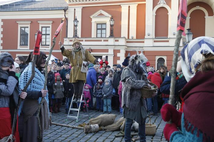 Užgavėnės 2016 Klaipėdoje