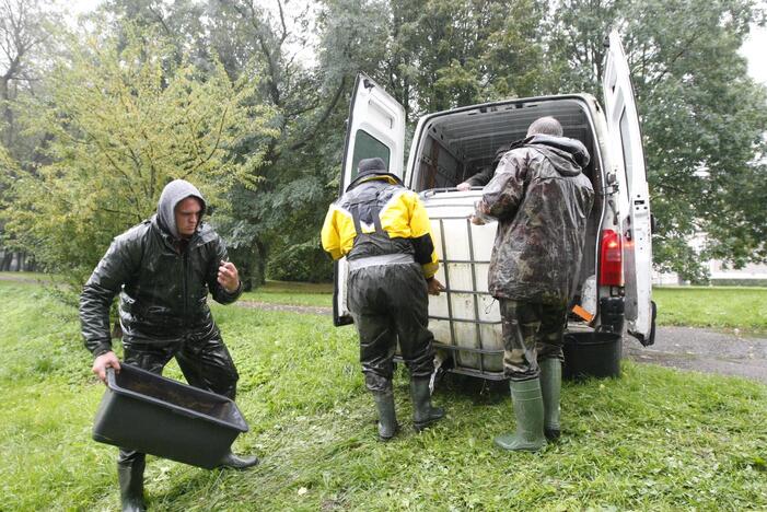 Laukžemių ežero žuvis perkėlė į Trinyčių tvenkinį