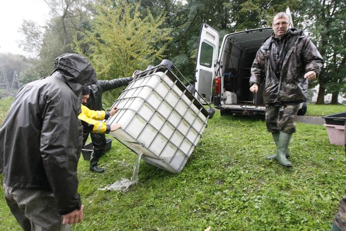 Laukžemių ežero žuvis perkėlė į Trinyčių tvenkinį