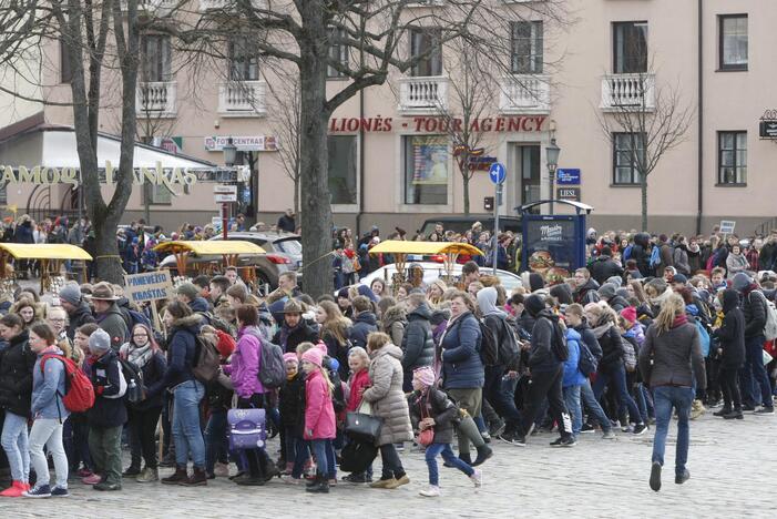 Skautų žygis Klaipėdoje