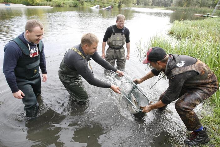 Trinyčiuose apgyvendintas žmogaus dydžio šamas