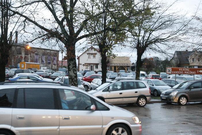 Šimtai moliūgų nušvito Švėkšnos parke