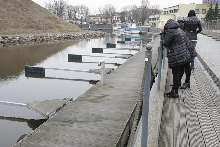 Dingusio vaikino paieška