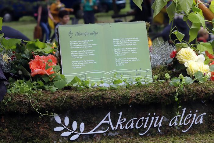 Festivalis „Akacijų alėja 2019“