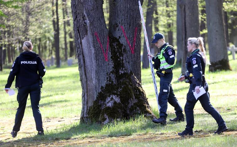 Provokacija Kauno kapinėse: ant medžių – draudžiami naudoti simboliai