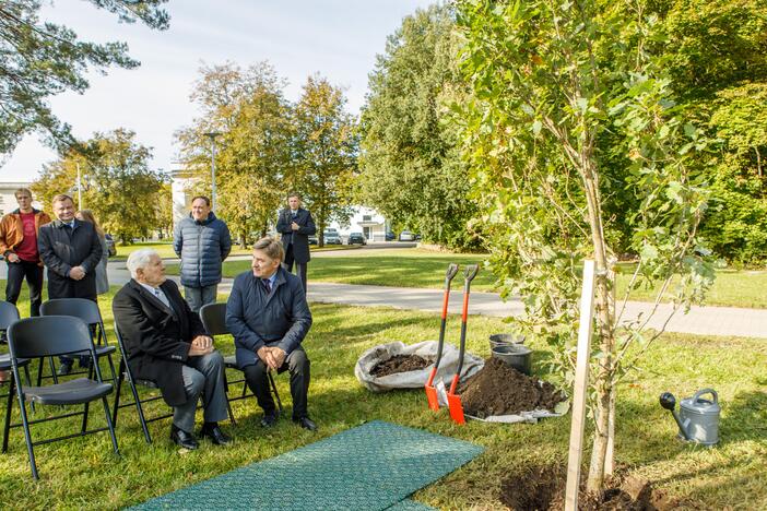 Prie Prezidento Valdo Adamkaus sporto centro šaknis įleido ąžuolai