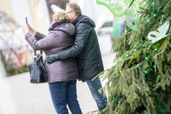 Šeštadienis Rotušės aikštėje