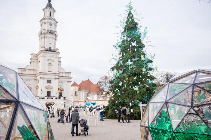 Šeštadienis Rotušės aikštėje