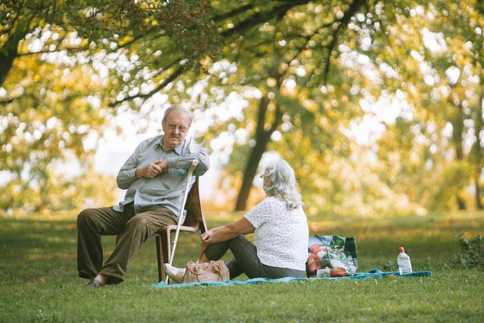 Pelėdų kalne siekia Lietuvos meno pikniko rekordo