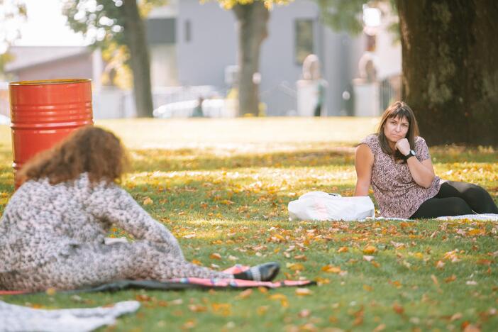 Pelėdų kalne siekia Lietuvos meno pikniko rekordo