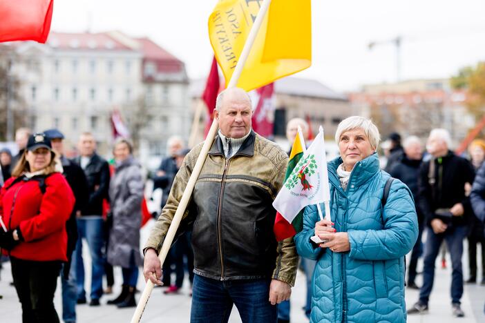 Lietuvos šeimų sąjūdžio mitingas