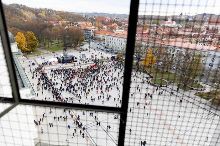 Lietuvos šeimų sąjūdžio mitingas