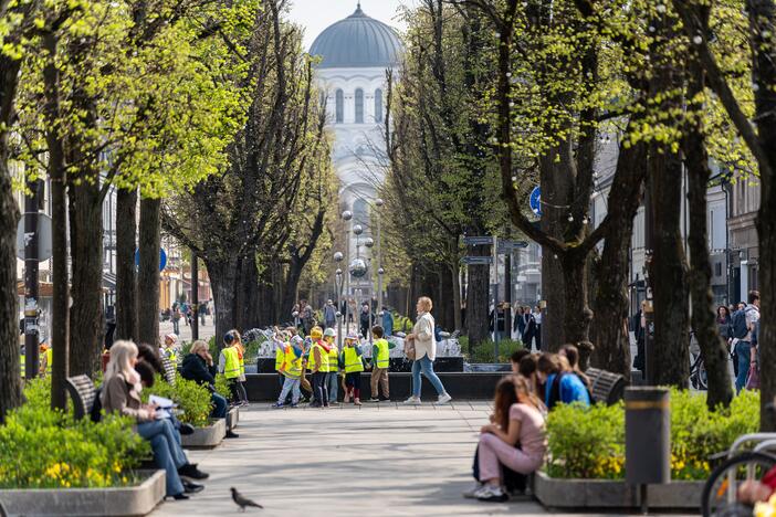 Kaune pradedamas fontanų sezonas