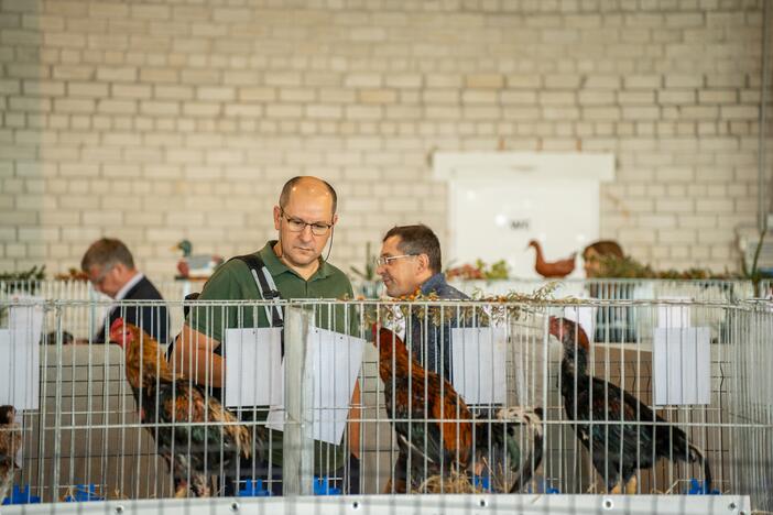 Gyvulininkystės paroda VDU Žemės ūkio akademijoje