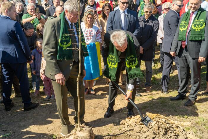 Ukrainos aukų atminties ąžuolynas 