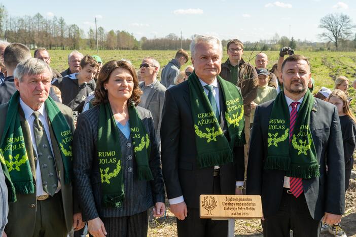 Ukrainos aukų atminties ąžuolynas 