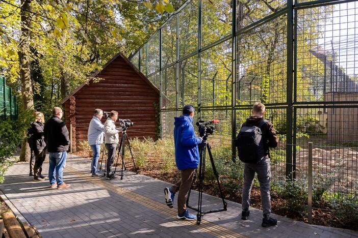 Lietuvos zoologijos sode apsigyveno tigrė