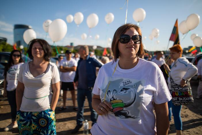 Šeimų maršo protestas prie Seimo