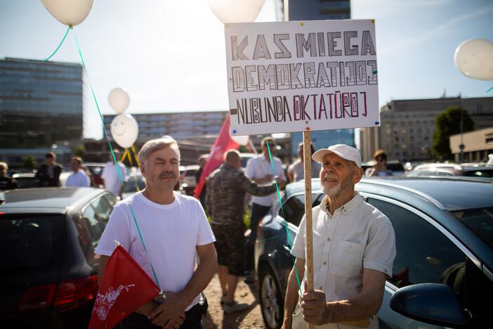 Šeimų maršo protestas prie Seimo