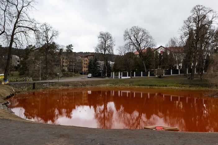 Prie Rusijos ambasados tvenkinys nudažytas raudona spalva