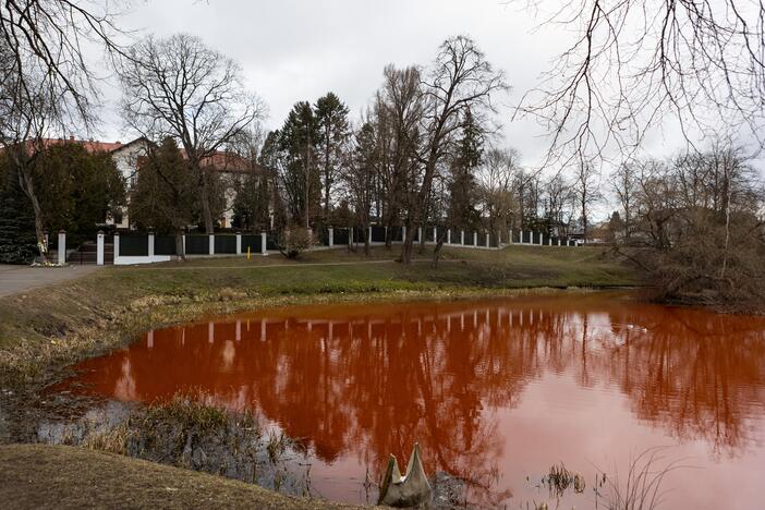 Prie Rusijos ambasados tvenkinys nudažytas raudona spalva