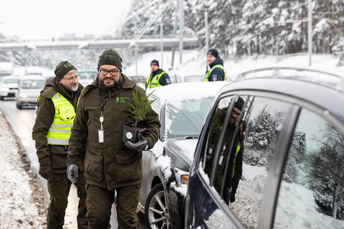 Policijos ir miškininkų akcija Vilniuje