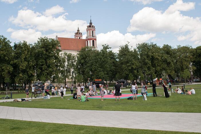 Kodėl neatsiranda Vilniaus paminklo?