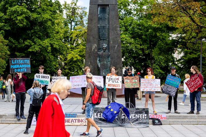 „Sienos grupės“ savanorių piketas prie Vyriausybės