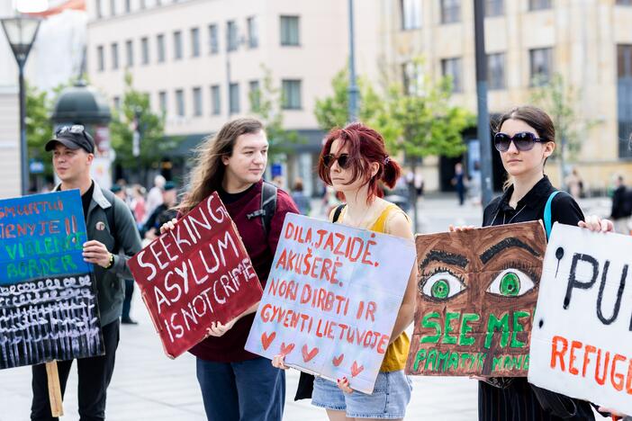 „Sienos grupės“ savanorių piketas prie Vyriausybės