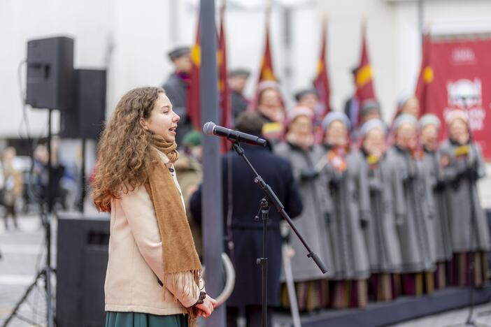 Vilniuje – iškilminga vėliavų pakėlimo ceremonija