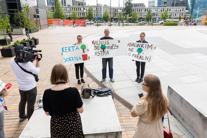 Protestas dėl nukirsto ąžuolo