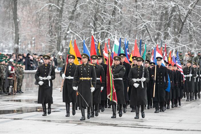 Iškilminga rikiuotė Kariuomenės dienos proga