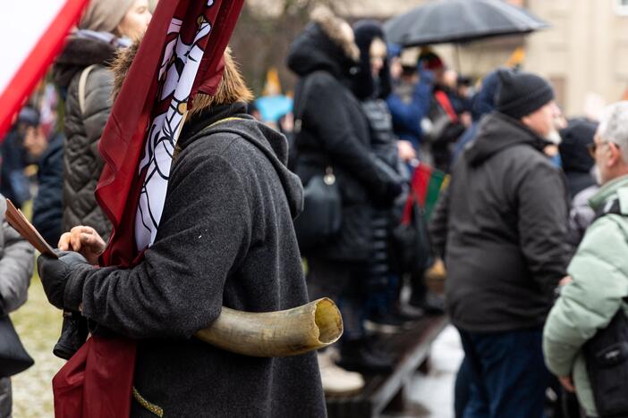 Protestas prie Seimo Sausio 13-ąją