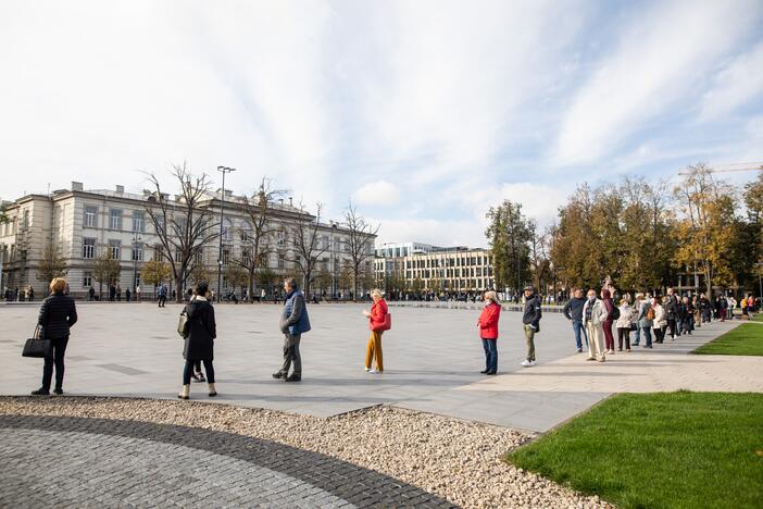 Išankstinis balsavimas Lukiškių aikštėje