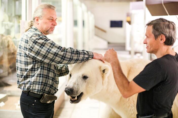 Kasparas persikėlė į T.Ivanausko zoologijos muziejų