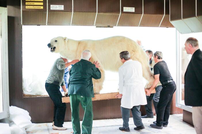 Kasparas persikėlė į T.Ivanausko zoologijos muziejų