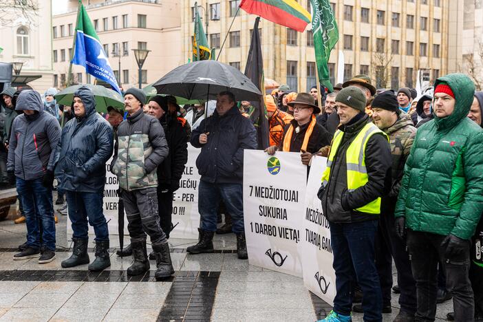 Vilniuje tęsiasi žemdirbių mitingas