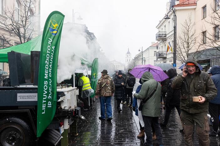 Vilniuje tęsiasi žemdirbių mitingas