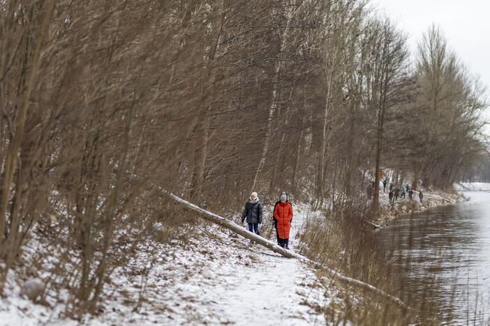 Tęsiama Vilniuje dingusio paauglio paieška